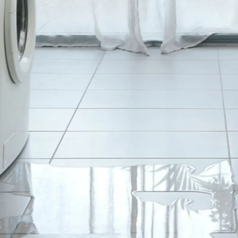 Appliance Leak Cleanup in Crete, IL