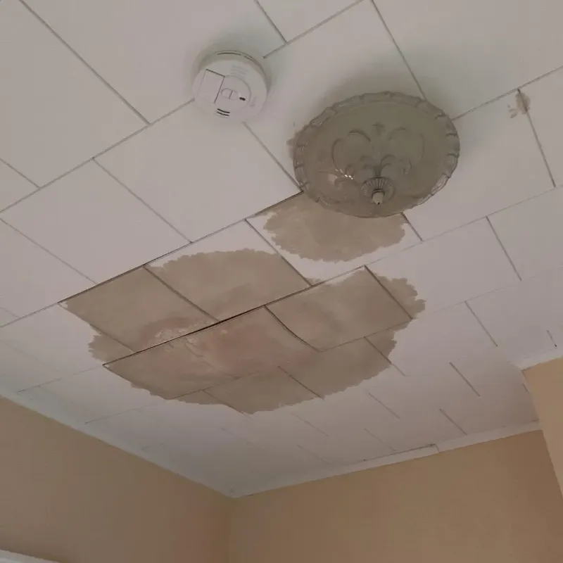 Ceiling Water Damage Repair in Crete, IL