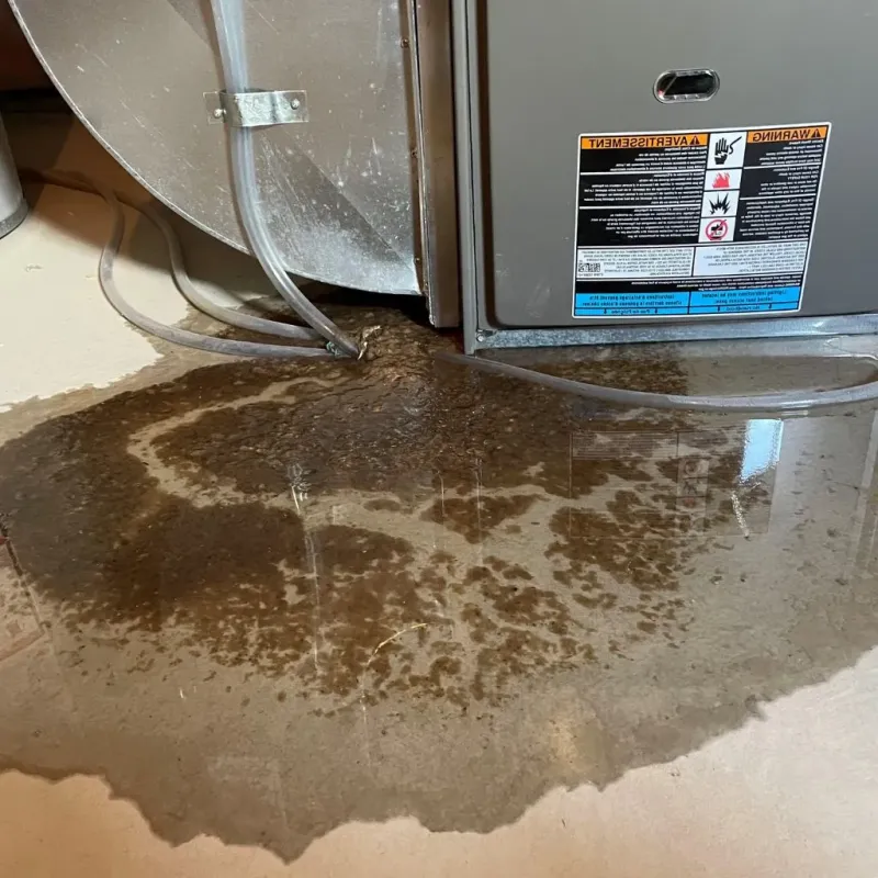 Pipe Burst and Leak Restoration in Crete, IL
