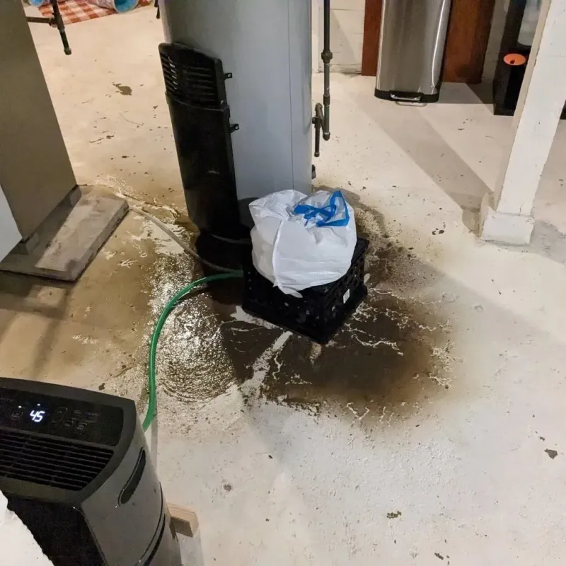 Sewage Backup Cleanup Service in Crete, IL